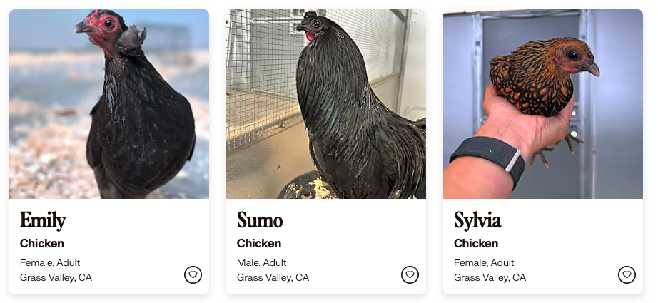 Screenshot 2025-05-20 at 12.25.57 PM